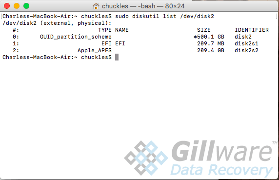 Step 5 New GUID partition table
