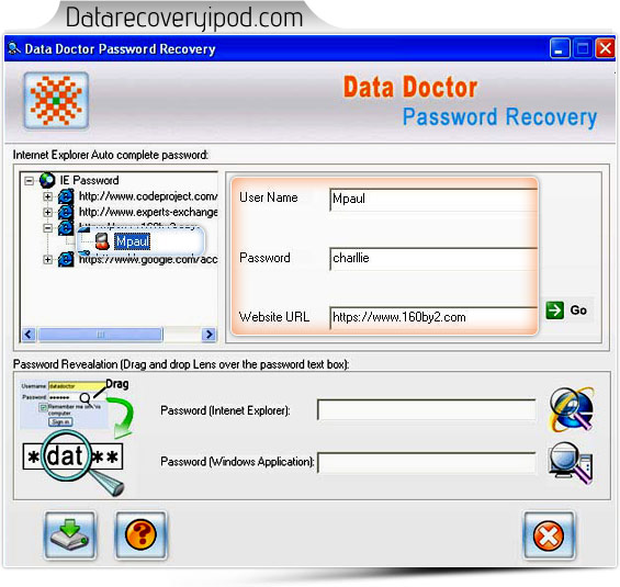 Internet explorer password recovery software